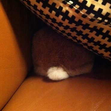 の写真