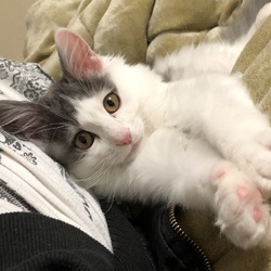 あけましておめでとうございます