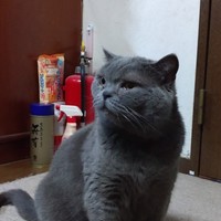 ボニーボニーボン