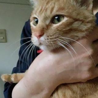 おねがいくん♡お申し込みが入りました