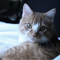 最近のぼくくん