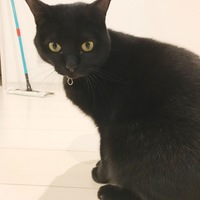 ベリ