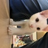 牧田くろ