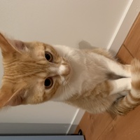 牧田こつぶ
