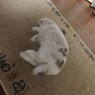 の写真