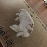 の写真