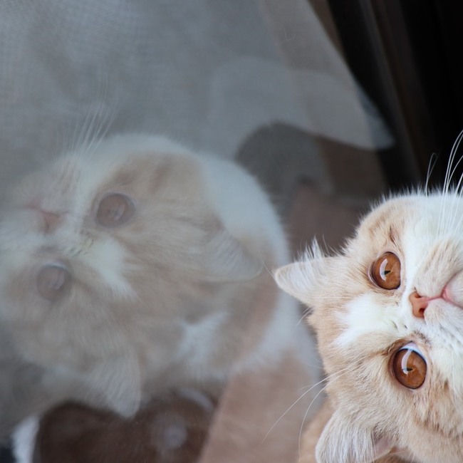 maro1107のカバー写真