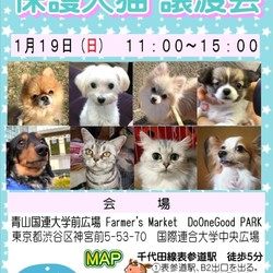 はーとinはーと 1月譲渡会 Farmer's Market