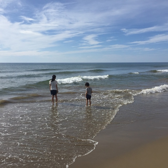 tachiiriのカバー写真