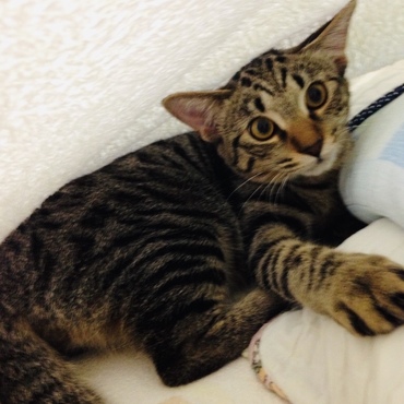 1/16の写真