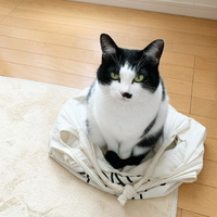 あんこ