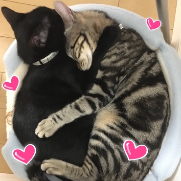 男同士仲良くすやすや♡