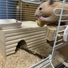 の写真