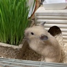 の写真