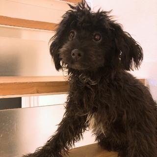 ありがたいことに審査に入らせていただきます