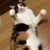 ツンデレ好きのあなたへ★遊び好き サムネイル5