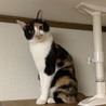 ツンデレ好きのあなたへ★遊び好き サムネイル7