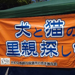 犬と猫の譲渡会