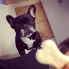 の写真