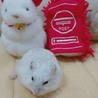 ねずみ年なので郵便局とちゅうもっち