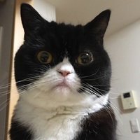 あくび