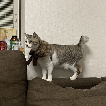 の写真