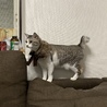 の写真
