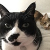 虎太郎といずみ