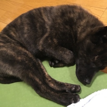 の写真