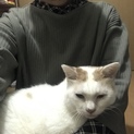 おとなしくてゴロゴロ♡穏やかな女の子