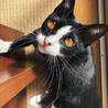 モナ