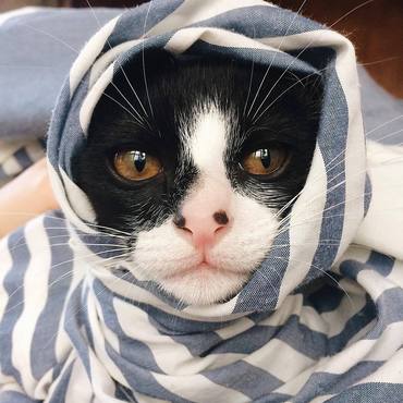モナの写真