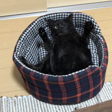 の写真