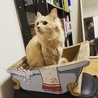 の写真