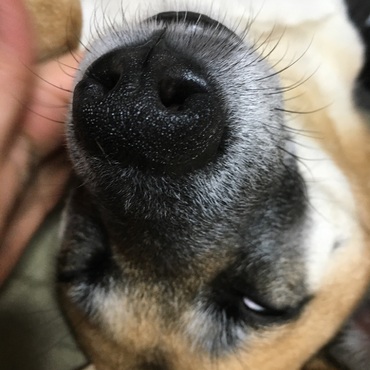 の写真