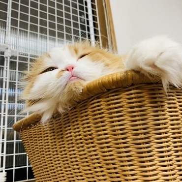 の写真