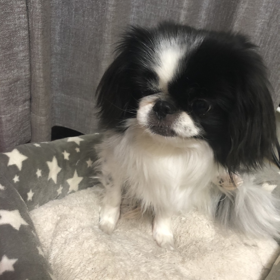 ひめのカバー写真