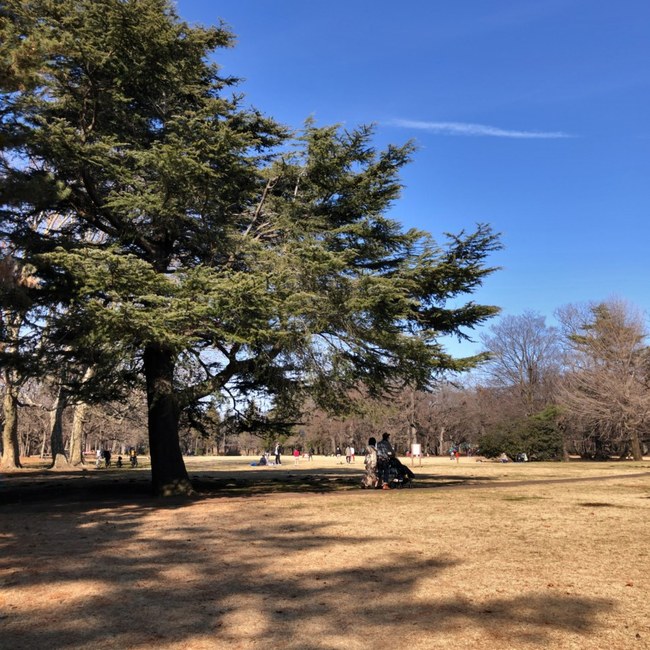 Shigeo_Bullのカバー写真