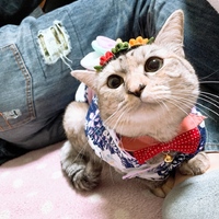 葉月