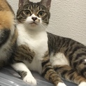 温かく迎えてくれる家族を待ってます。