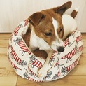リリーちゃん預けなくなった
