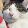 りよっちまま