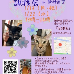 もふもふ西宮　保護猫の幸せ譲渡会