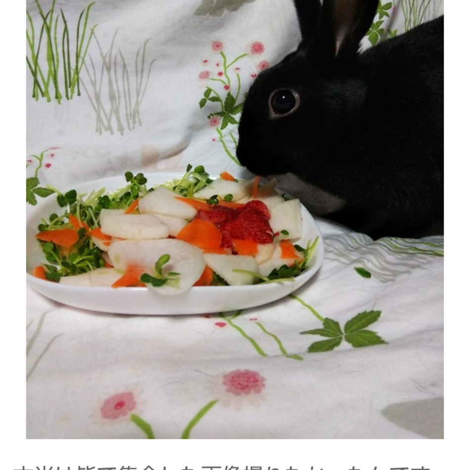 奈那(なな)のカバー写真