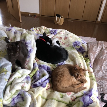 やらかいとこがええよね