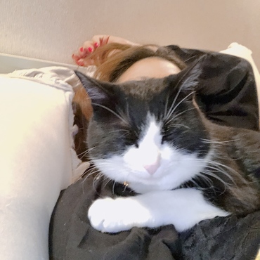 だっこだっこだっこ