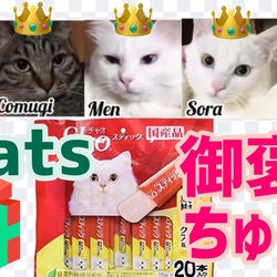  御褒美ちゅーる