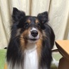 やままろさん
