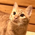 スリゴロ優しい仲良し3兄弟