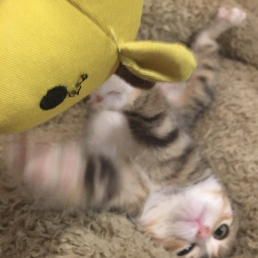 の写真